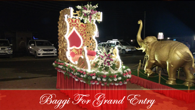 baggi-for-grand-entry